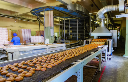 Food Processing